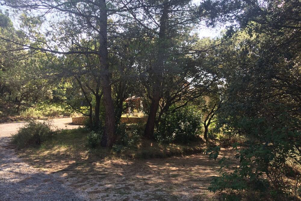 Photo of Outdoor in Le Barroux