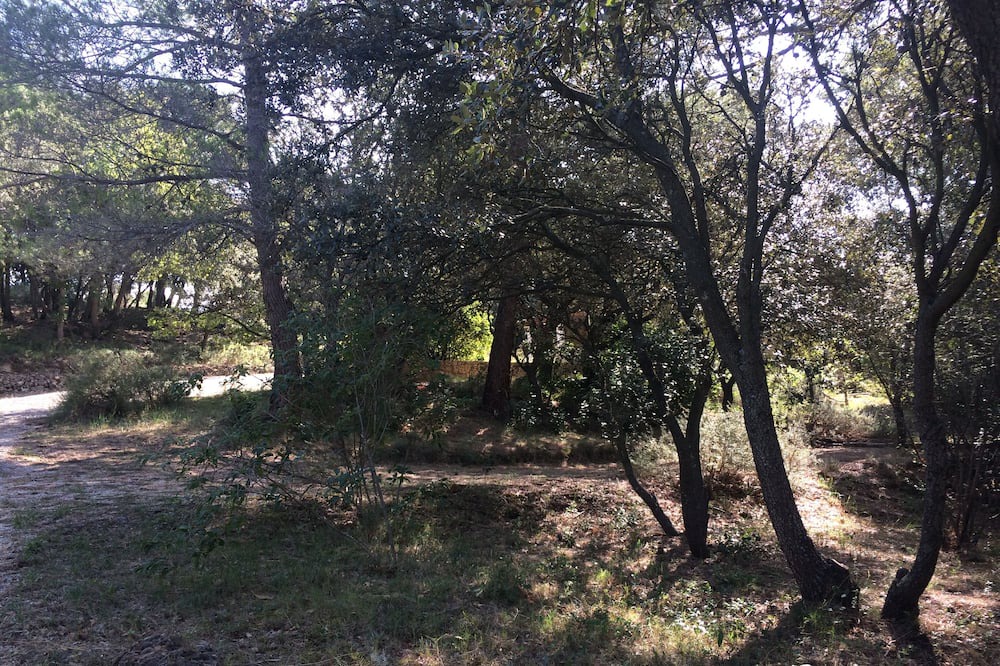 Photo of Outdoor in Le Barroux