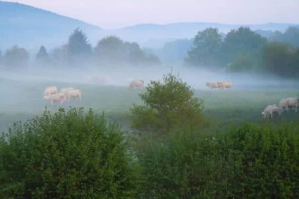 Photo of Outdoor in Blismes