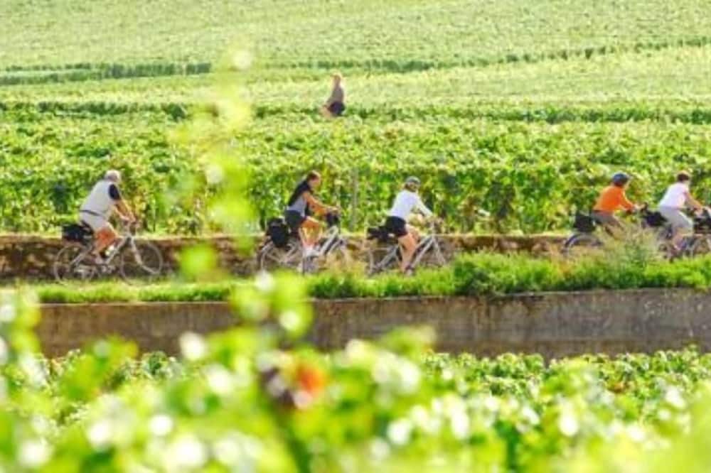 Photo of Outdoor in Blismes