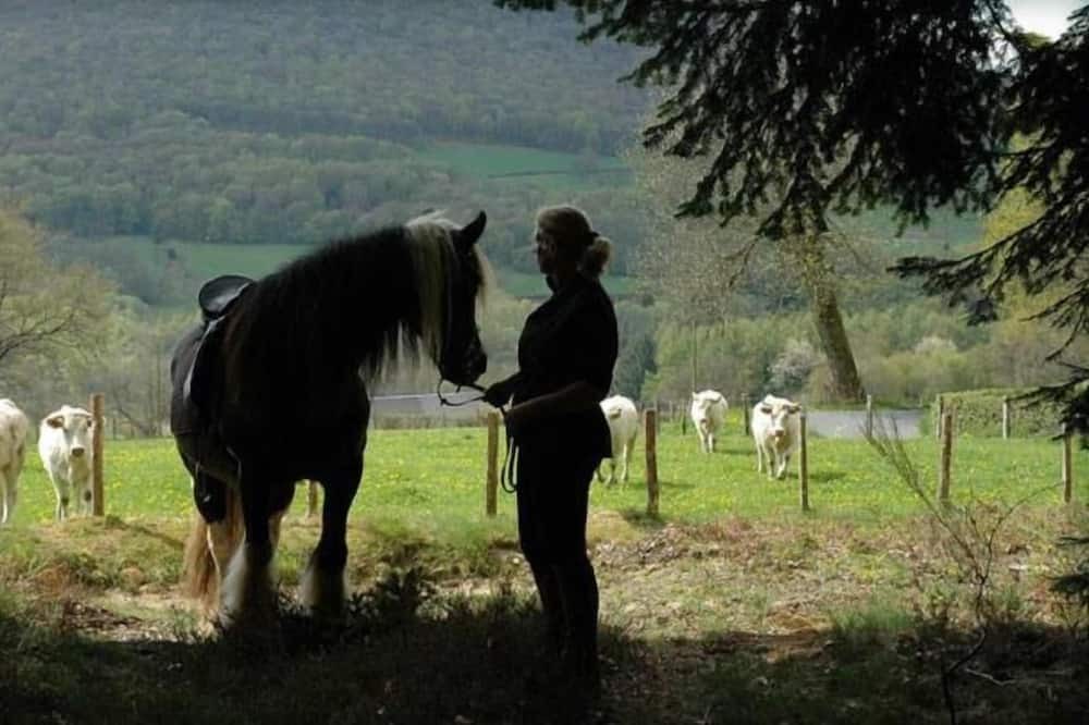Photo of Others in Blismes
