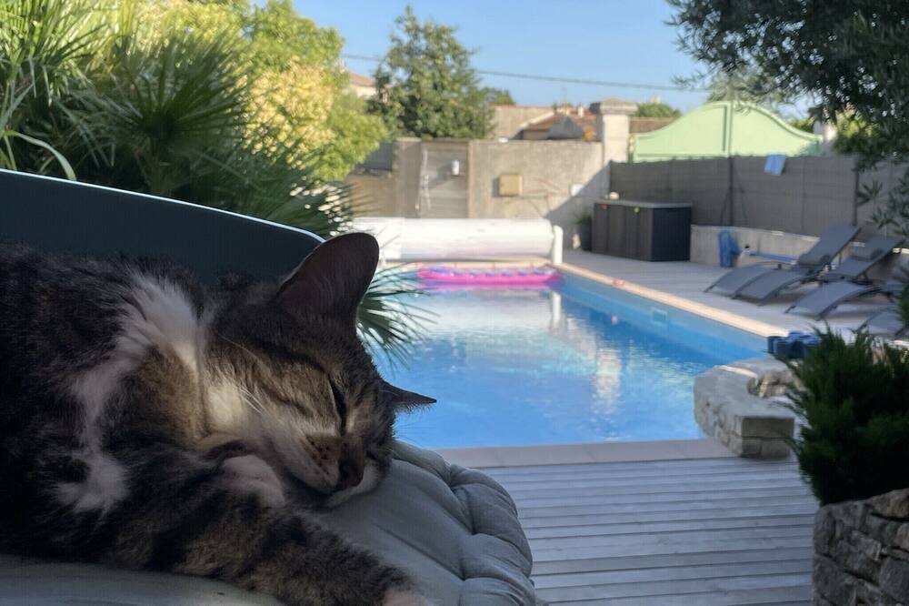 Photo of Outdoor in Saint-Marcel-d'Aredeche