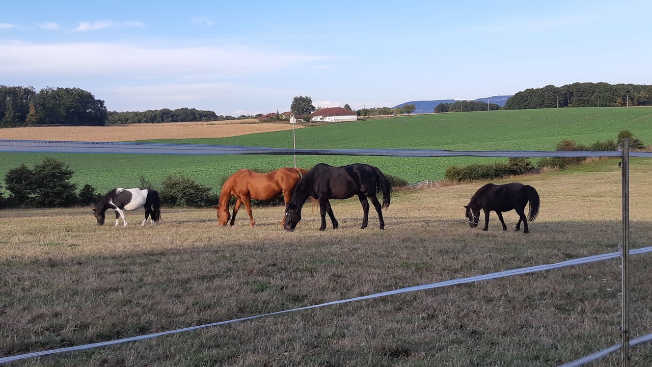 Photo of Outdoor in Domsure