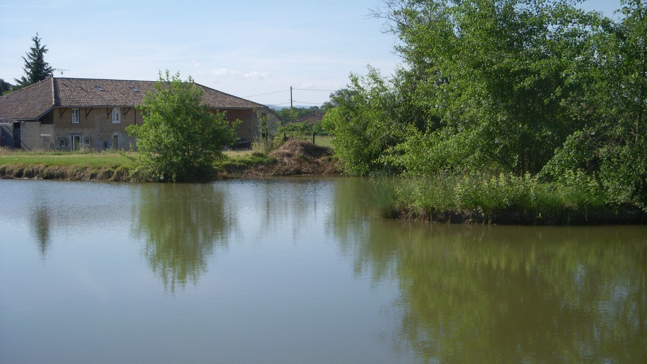 Photo of Outdoor in Domsure
