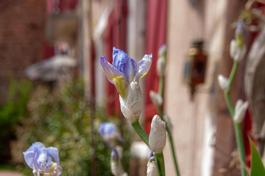 Photo of Outdoor in Lapalisse