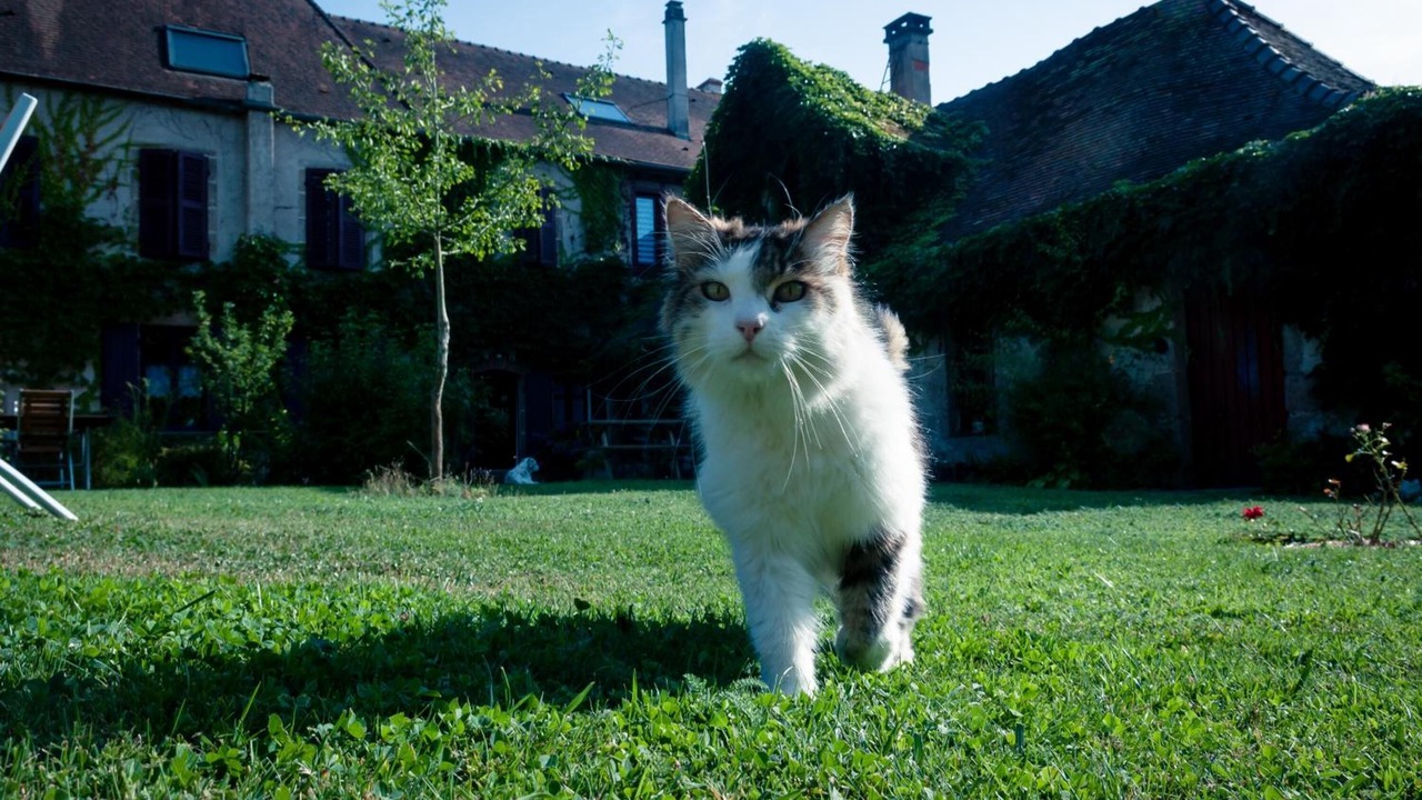 Photo of Outdoor in Lapalisse
