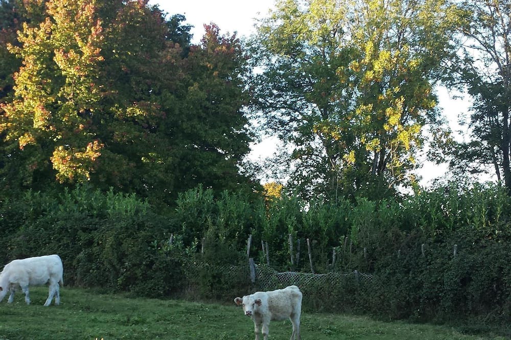 Photo of Outdoor in Guipy