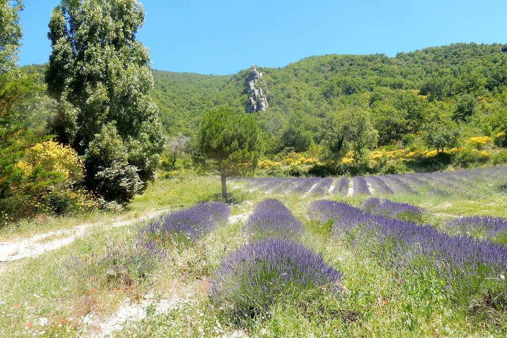 Photo of Outdoor in Saint-Ferreol-Trente-Pas