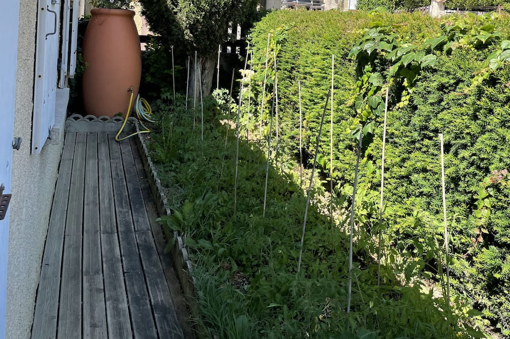 Photo of Outdoor in Crest