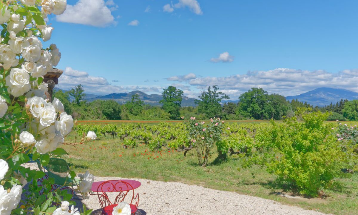 Photo of Outdoor in Loriol-du-Comtat