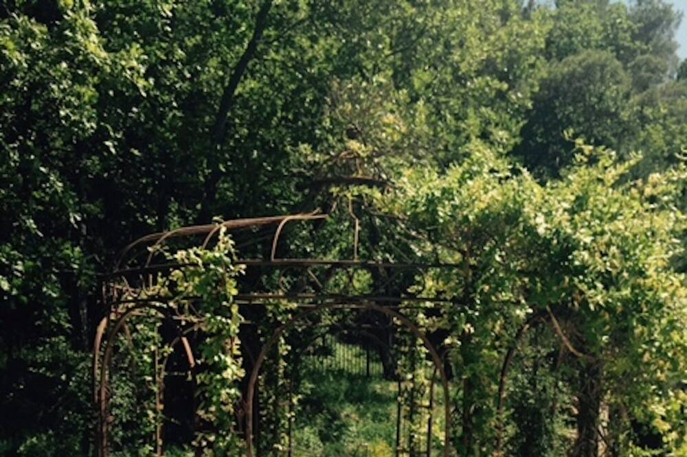 Photo of Outdoor in Le Barroux