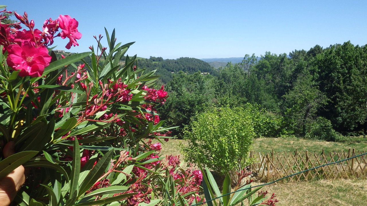 Photo of Outdoor in Chassiers