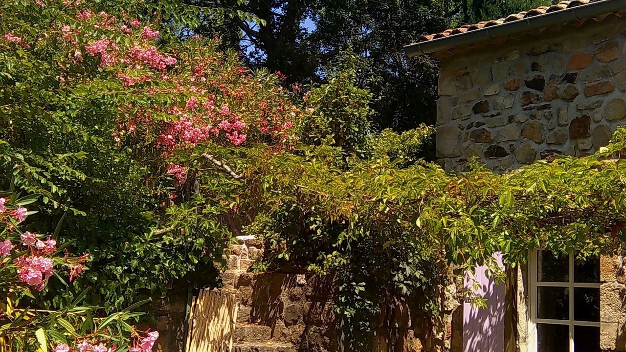 Photo of Outdoor in Chassiers