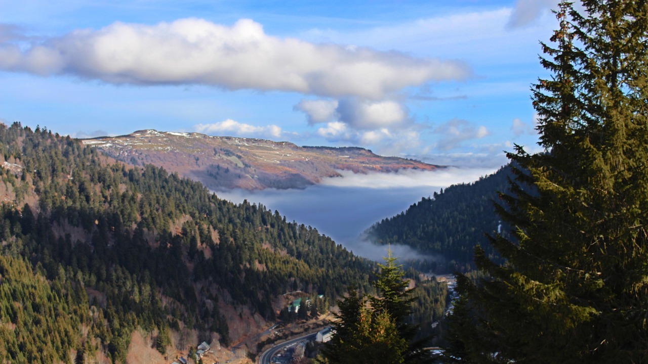 Photo of Outdoor in Saint-Jacques-des-Blats