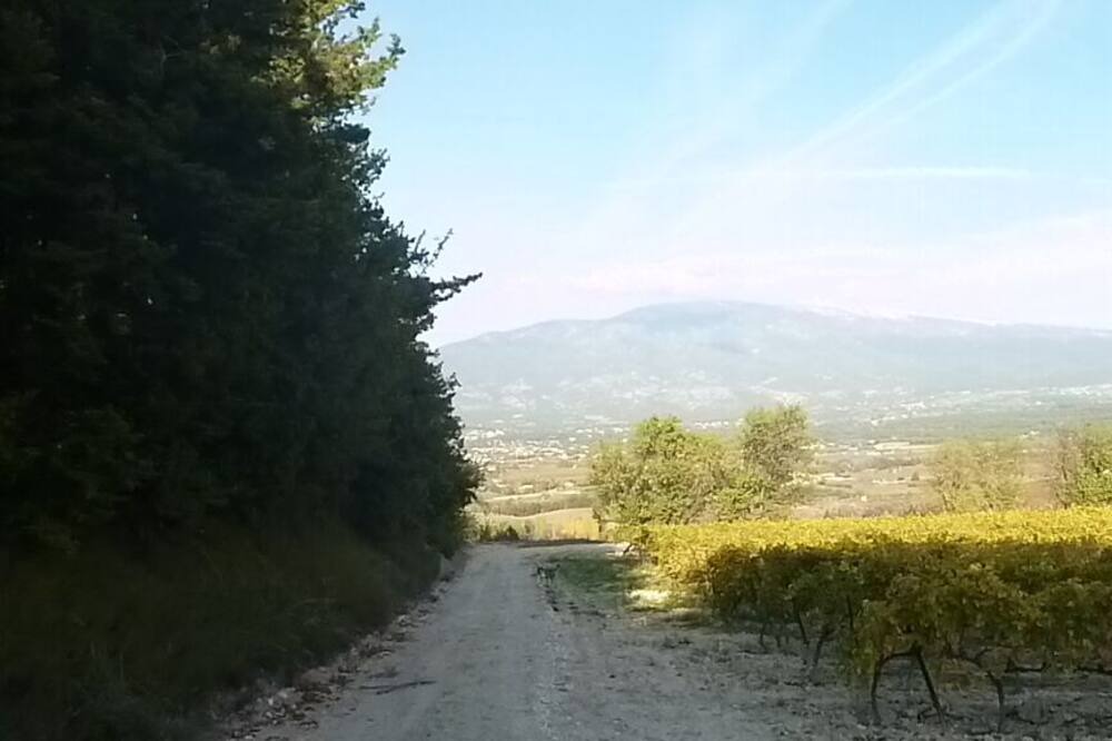 Photo of Outdoor in Saint-Pierre-de-Vassols