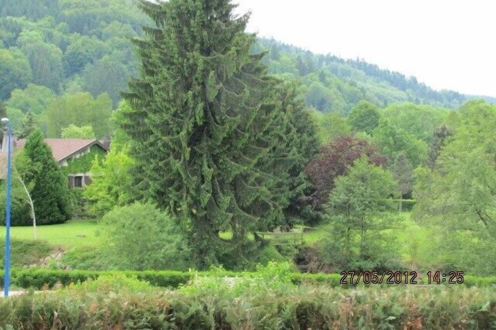 Photo of Outdoor in Ferdrupt