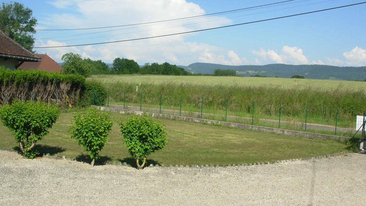 Photo of Outdoor in Flacey-en-Bresse