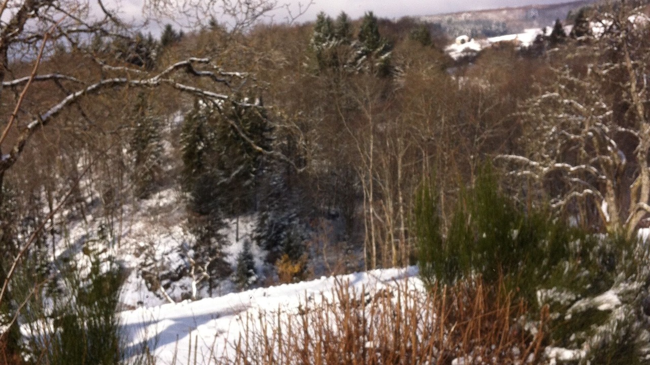 Photo of Outdoor in Saint-Prix