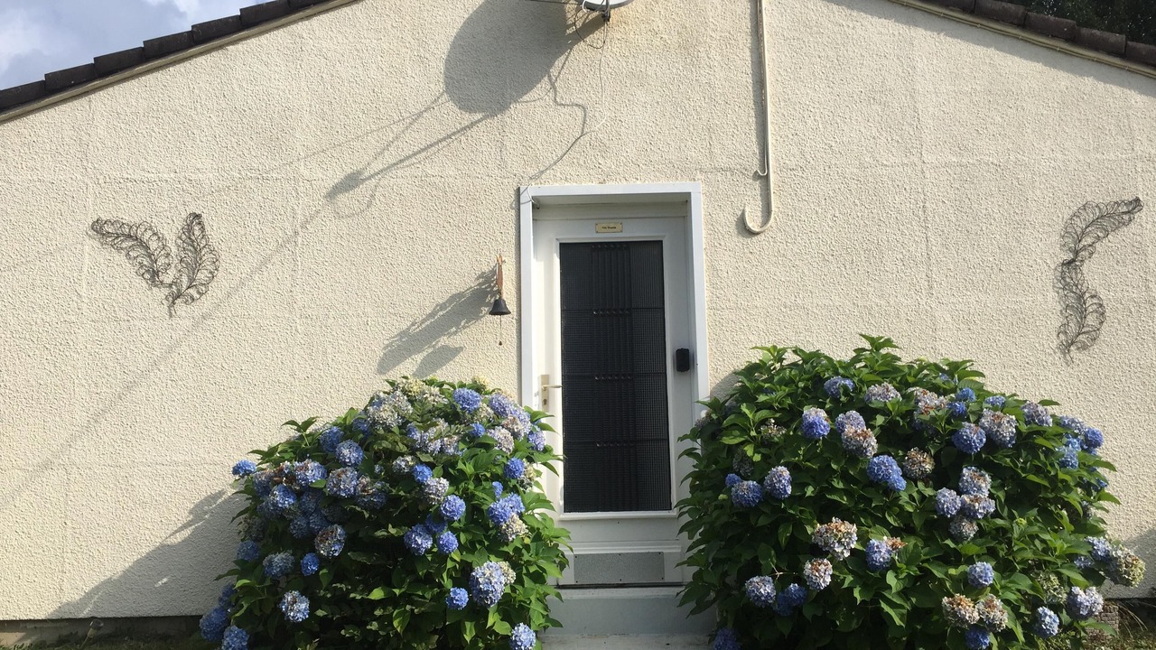 Photo of Outdoor in Saint-Prix