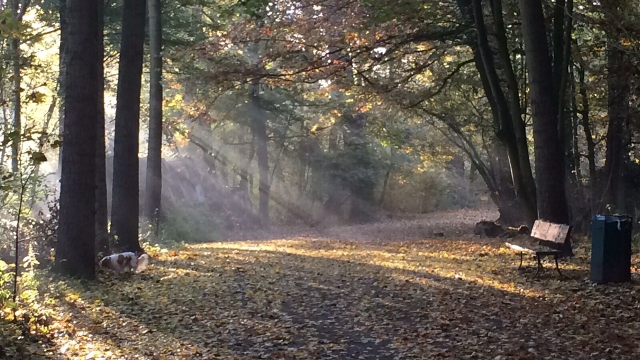Photo of Outdoor in Saint-Prix