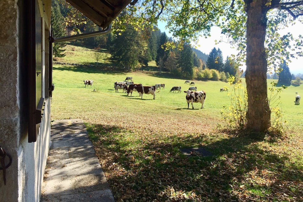 Photo of Outdoor in Les Hopitaux-Vieux