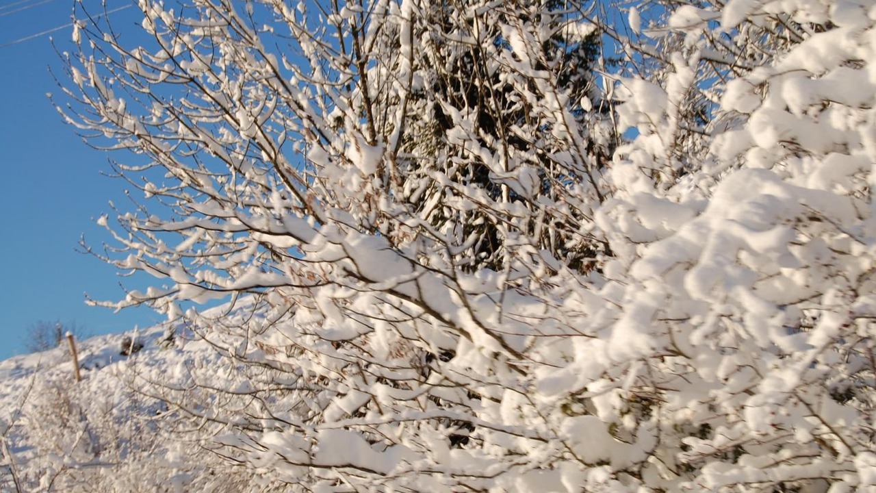 Photo of Others in Villard-Saint-Sauveur
