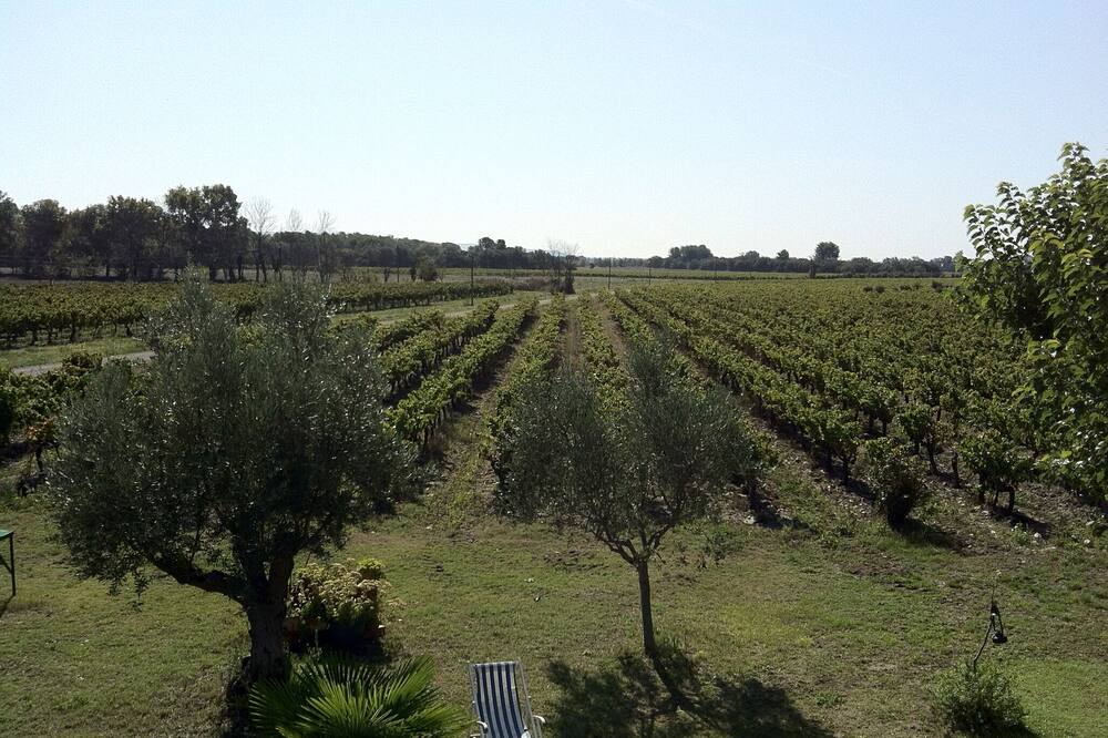 Photo of Outdoor in Richerenches