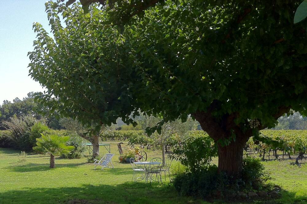 Photo of Outdoor in Richerenches
