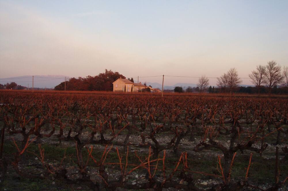 Photo of Outdoor in Richerenches