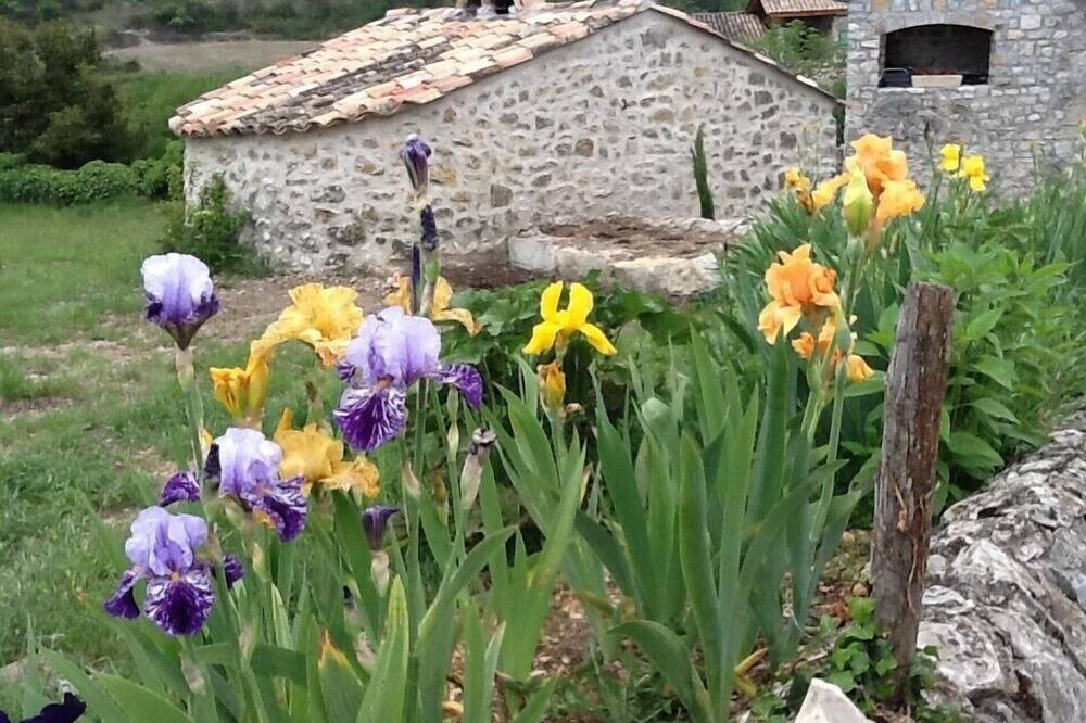 Photo of Outdoor in Saint-Maurice-d'Ibie