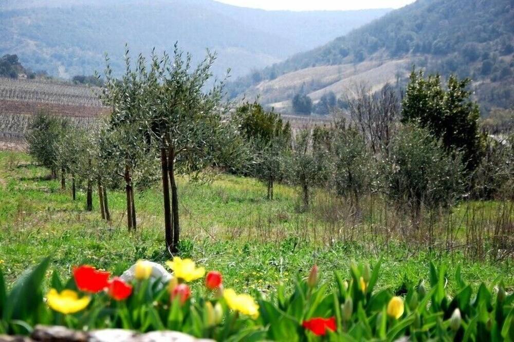 Photo of Outdoor in Saint-Maurice-d'Ibie
