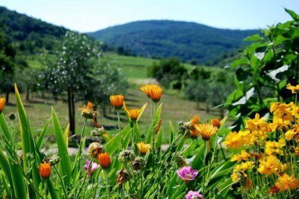 Photo of Outdoor in Saint-Maurice-d'Ibie
