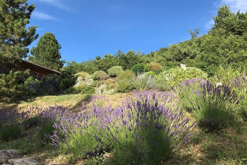 Photo of Outdoor in Manas