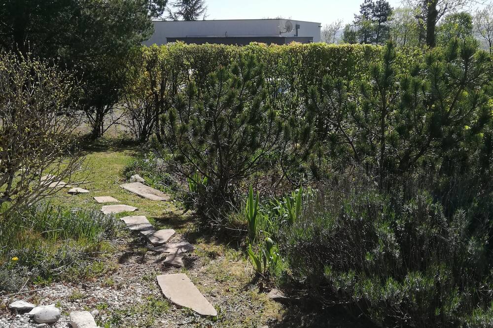 Photo of Outdoor in Montfaucon