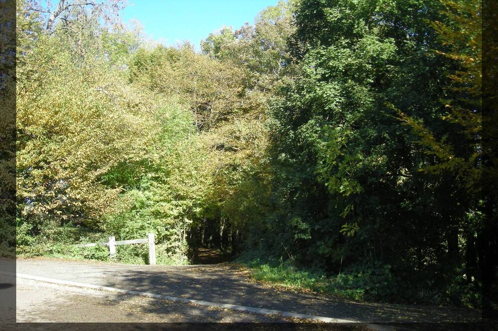 Photo of Outdoor in Montfaucon