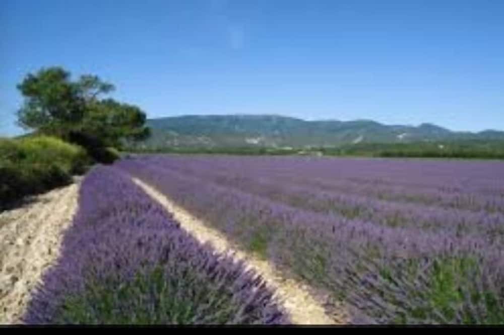 Photo of Outdoor in Visan