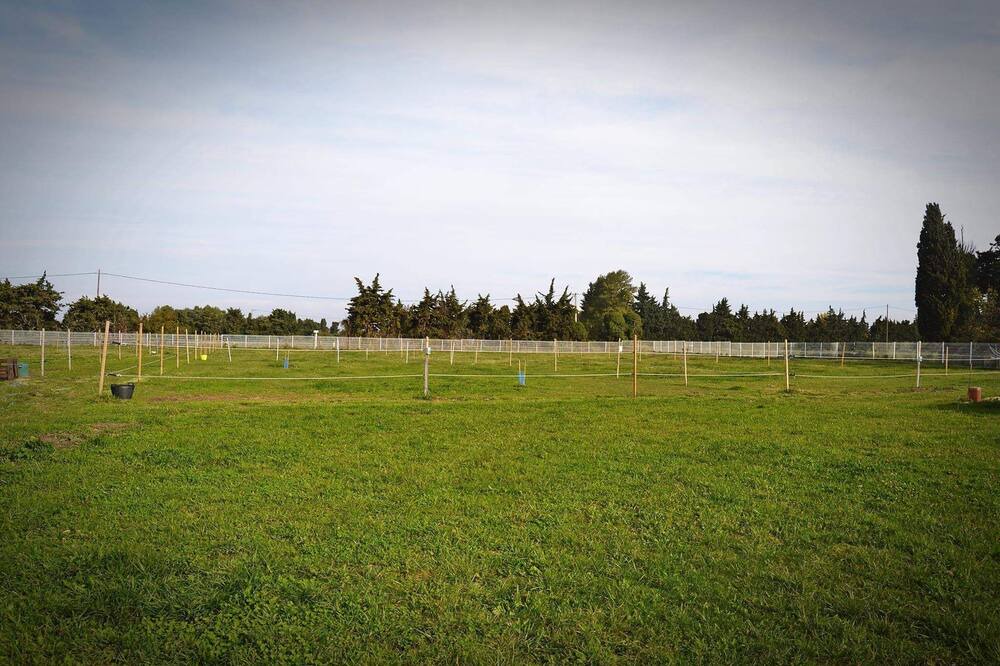 Photo of Outdoor in Visan