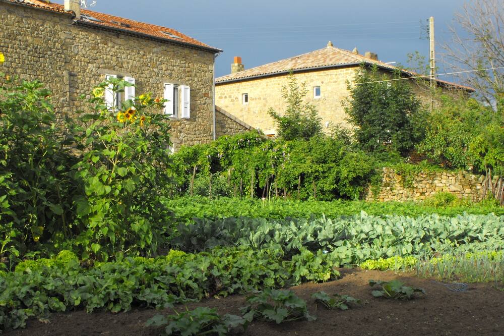 Photo of Outdoor in Ruisset