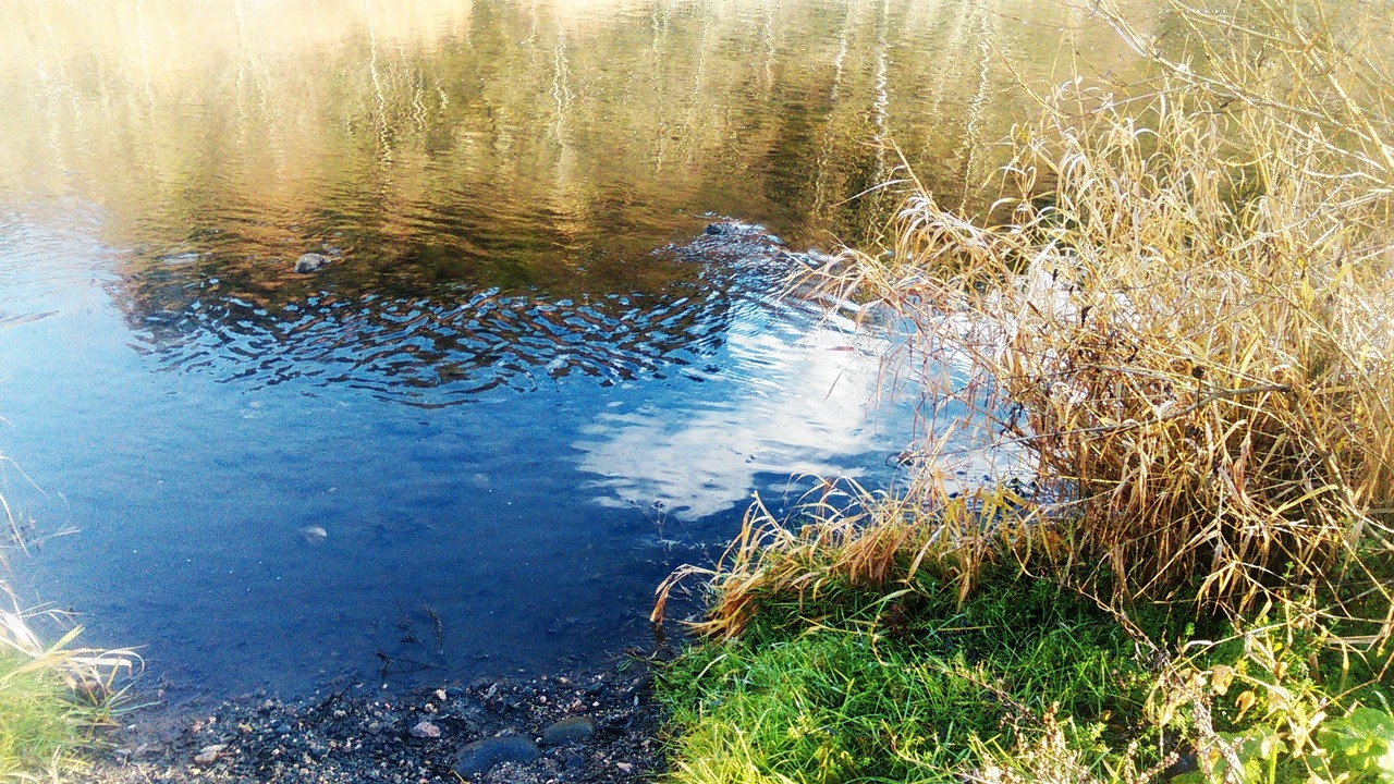 Photo of Outdoor in Saint-Vincent