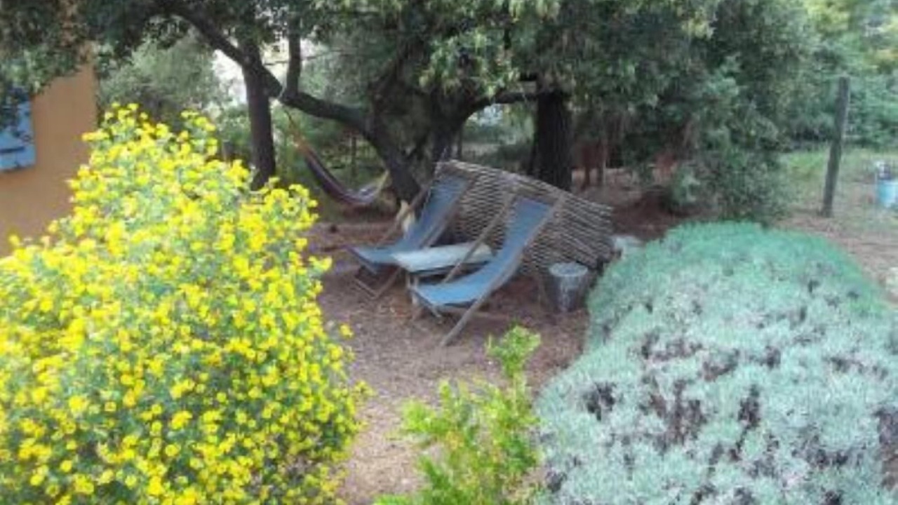 Photo of Outdoor in Bedoin
