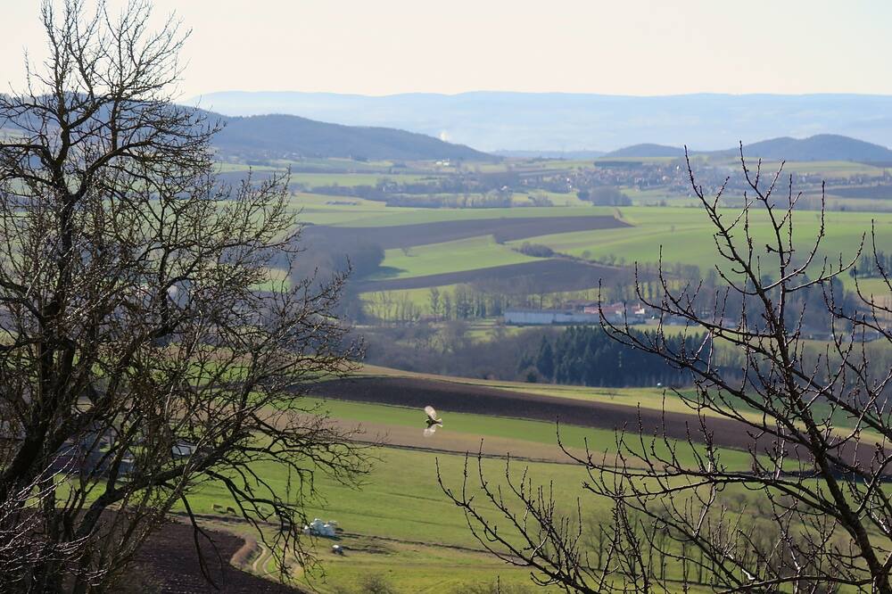 Photo of Outdoor in Usson