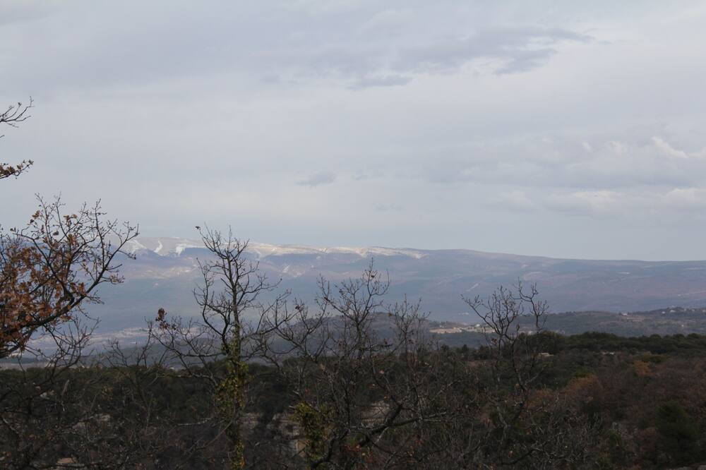 Photo of Outdoor in La Roque-sur-Pernes