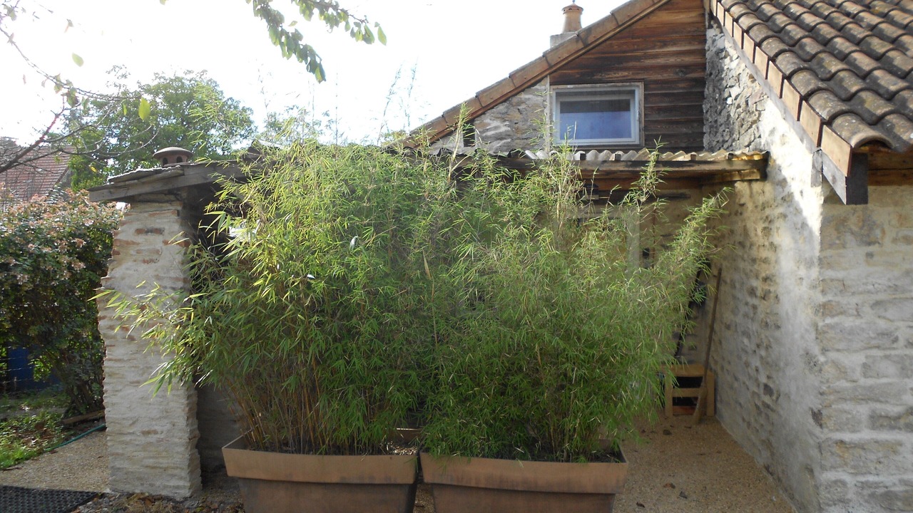 Photo of Outdoor in Gigny-sur-Saone