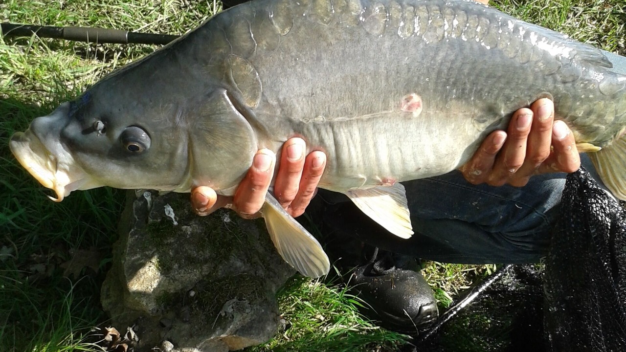 Photo of Outdoor in Magny