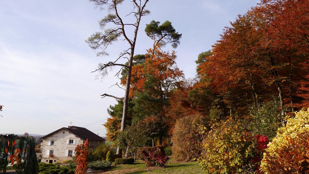 Photo of Outdoor in Uzemain