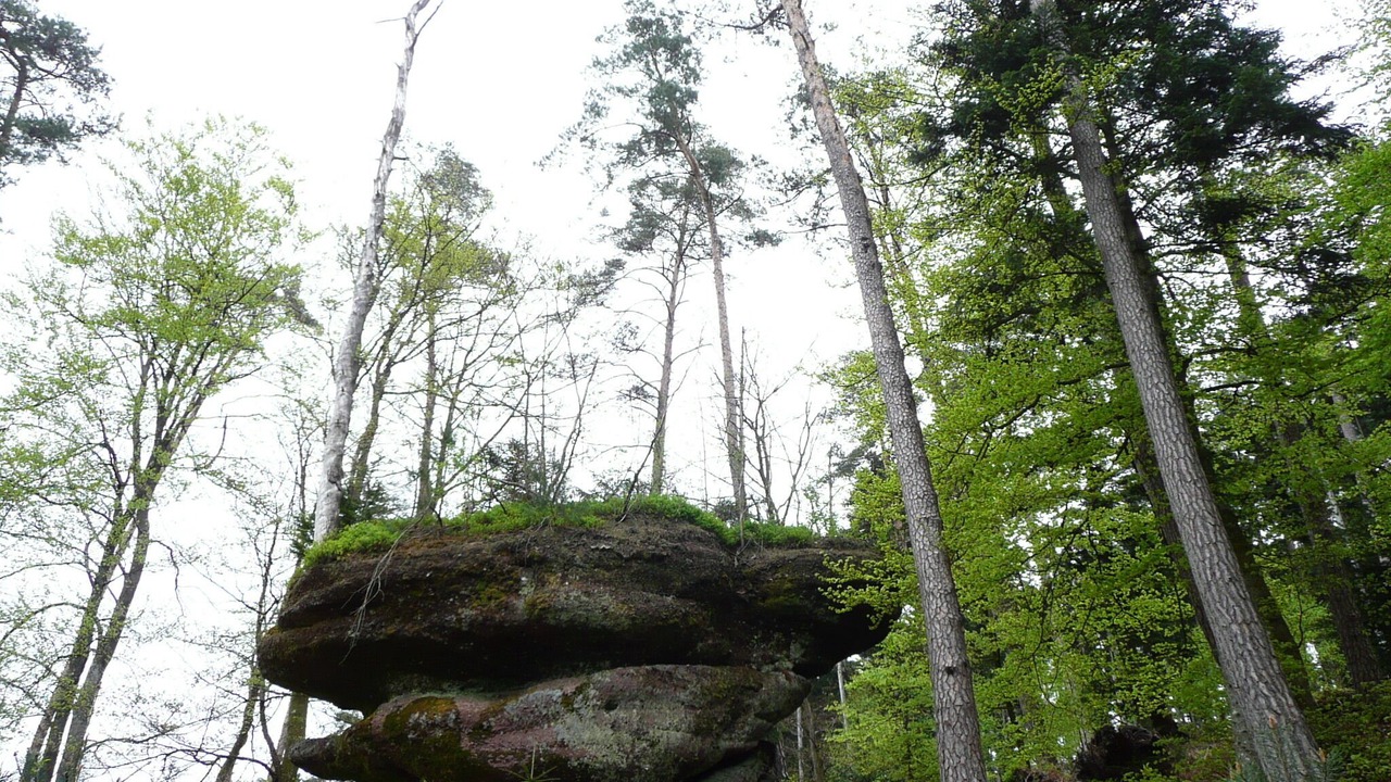 Photo of Outdoor in Uzemain