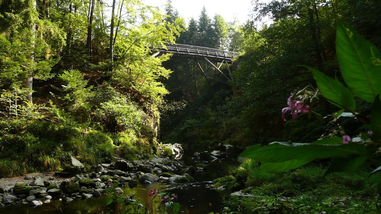 Photo of Outdoor in Uzemain