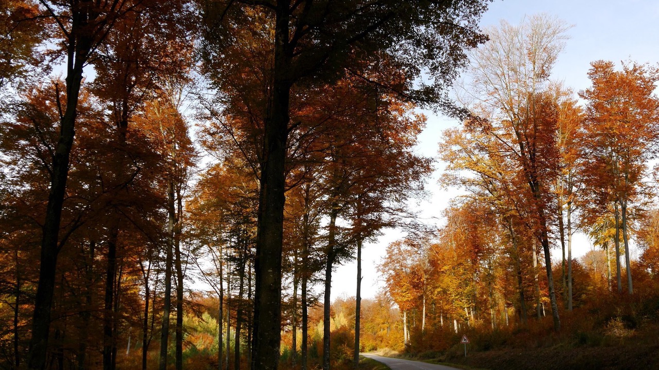 Photo of Outdoor in Uzemain