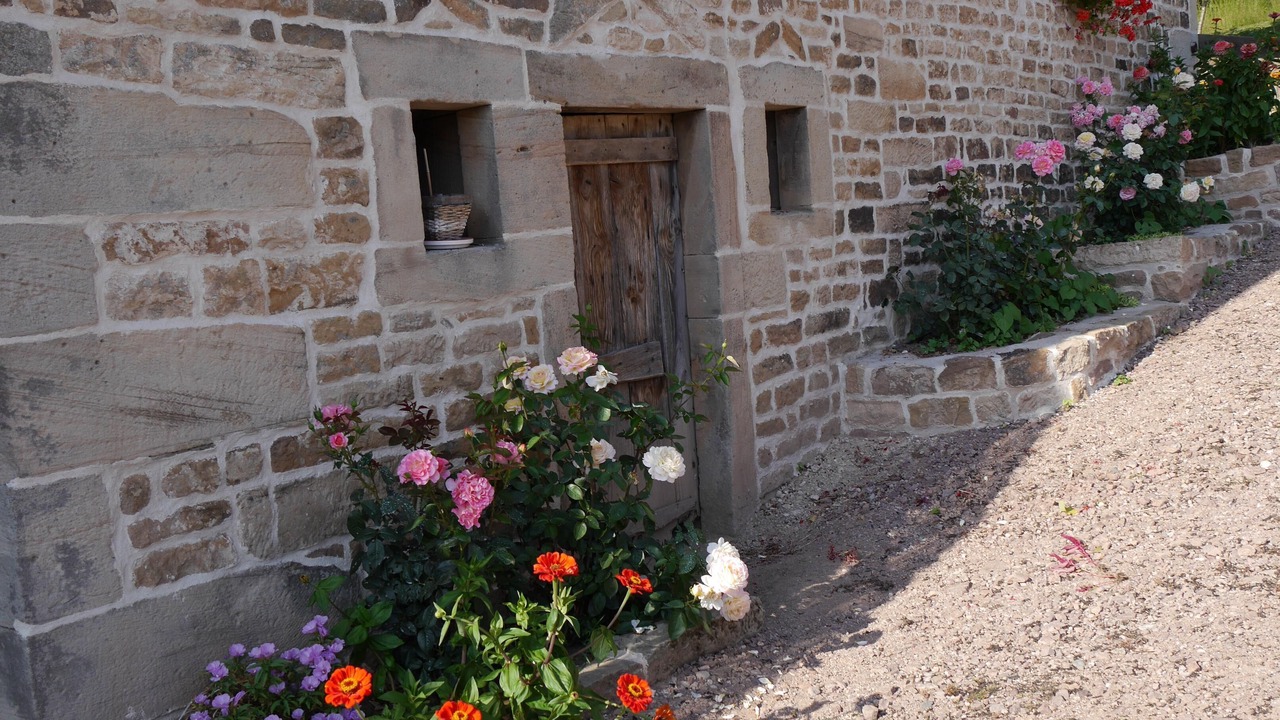 Photo of Outdoor in Uzemain