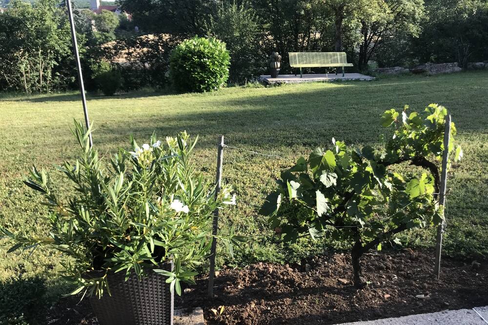 Photo of Outdoor in Grimault